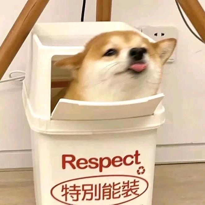 圆圆的脑袋