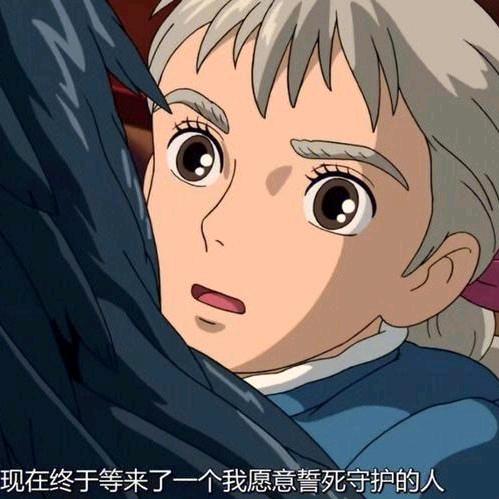 黄鼠鸡