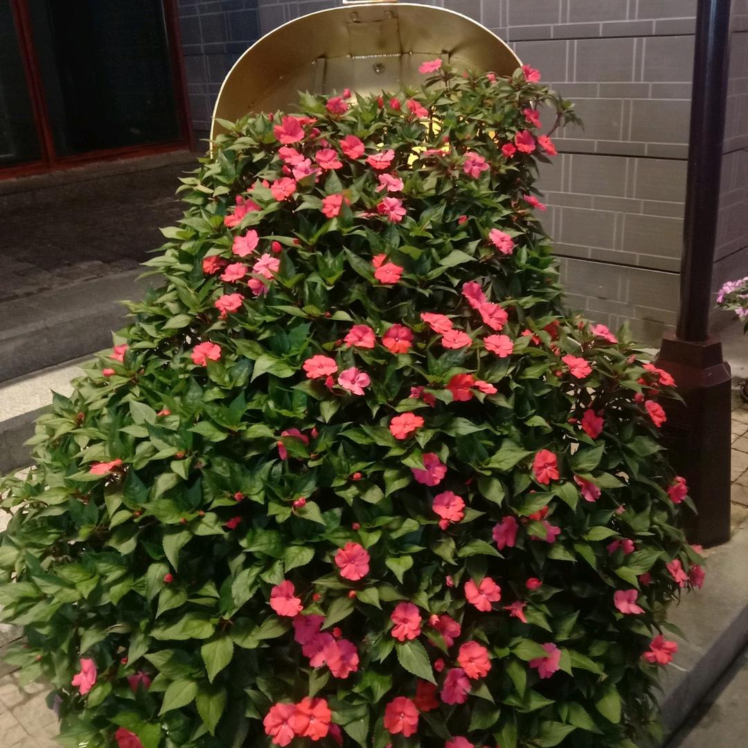 粗茶淡饭贤