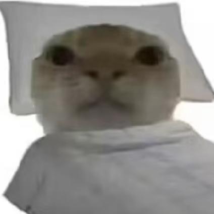 乔乔子