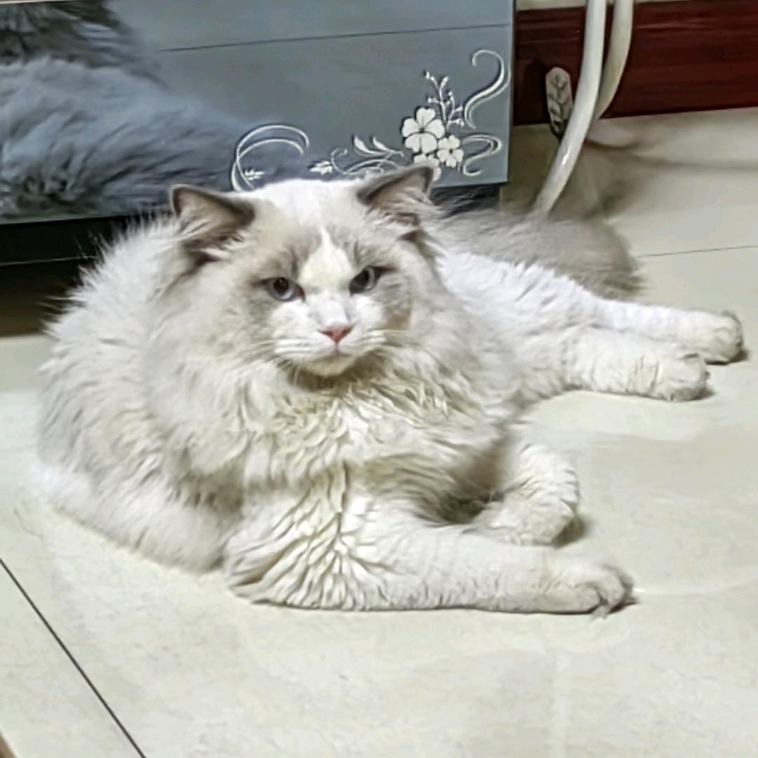 手机用户80320257422开心快乐