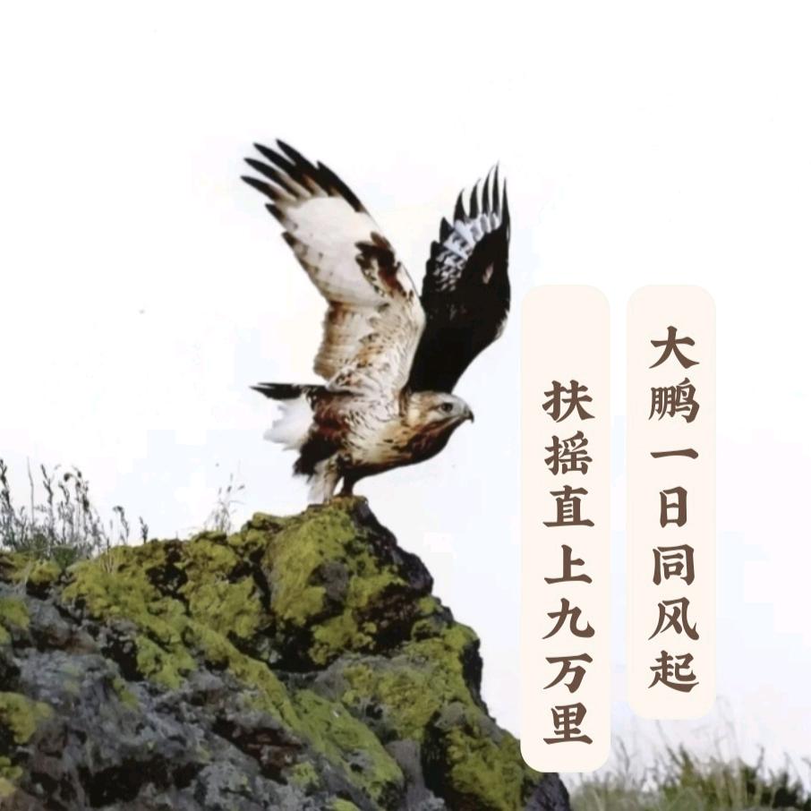 @阿福