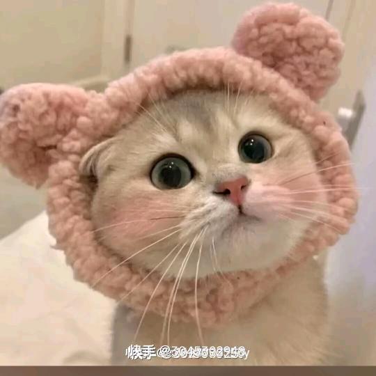 ONLY郑州高新万达