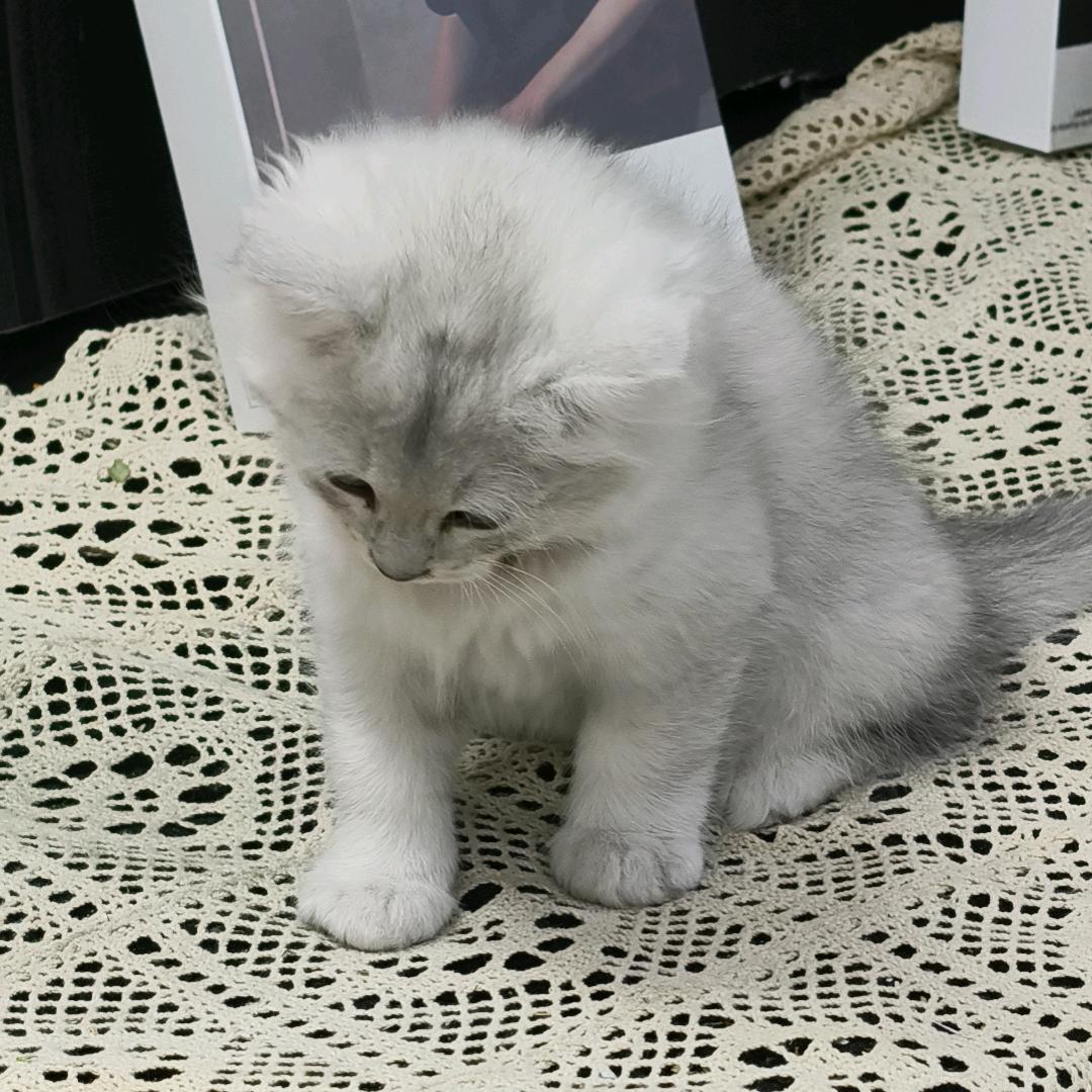 青海理工百事通