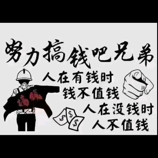 龍飛