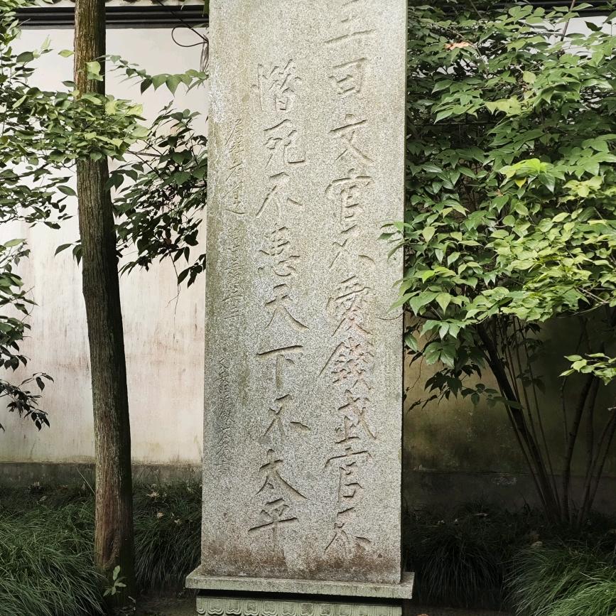随风，