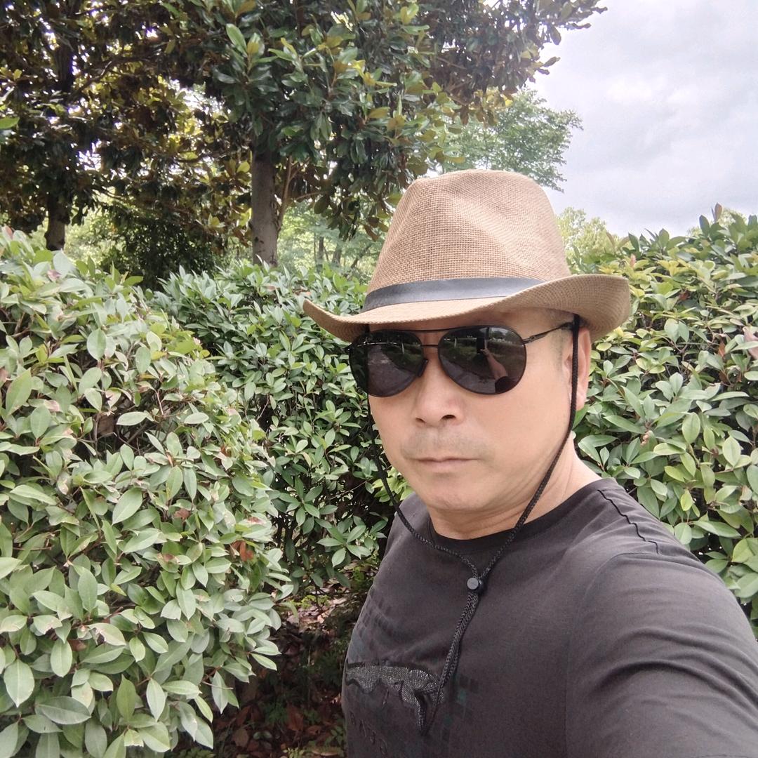 阚疃张总网红婚庆车队