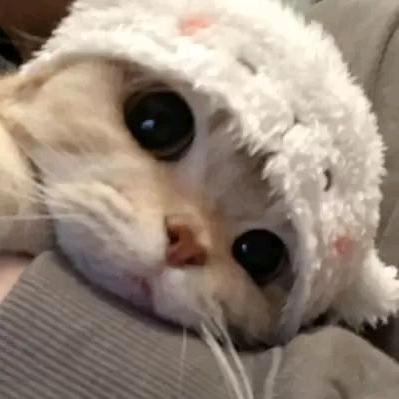 如果再相遇.