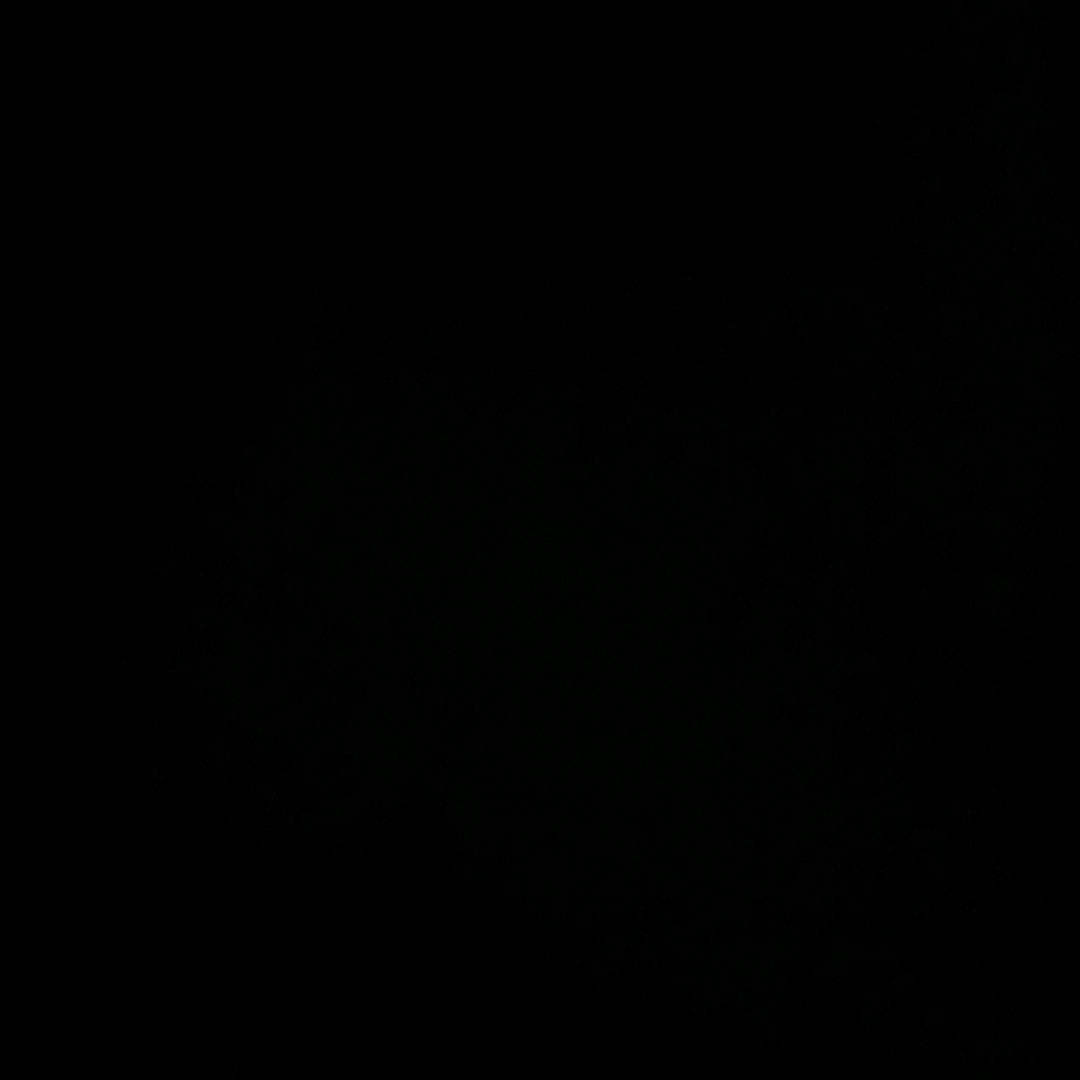 库吃库吃