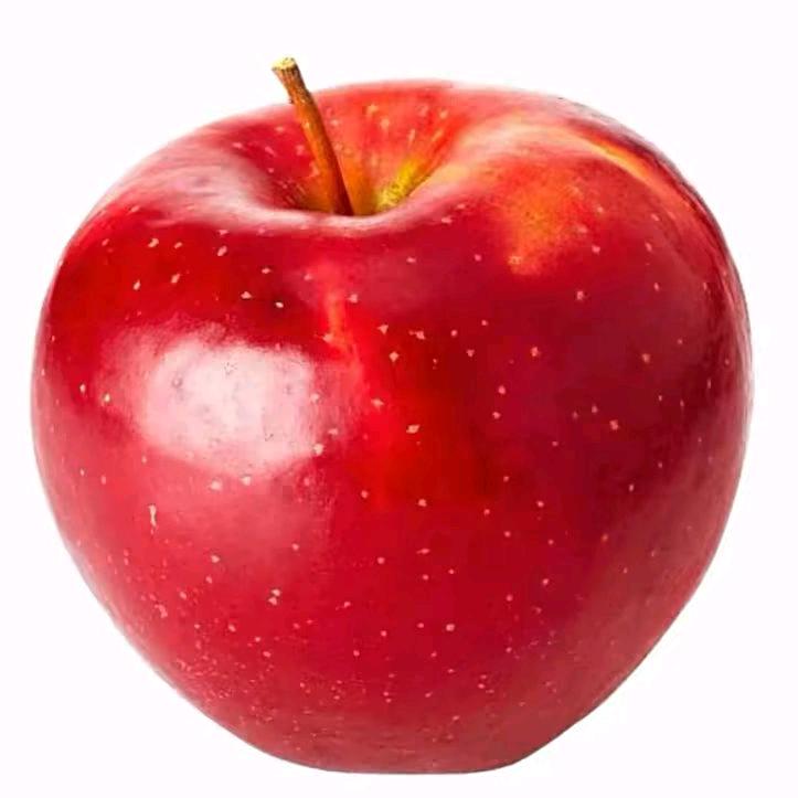 玄
