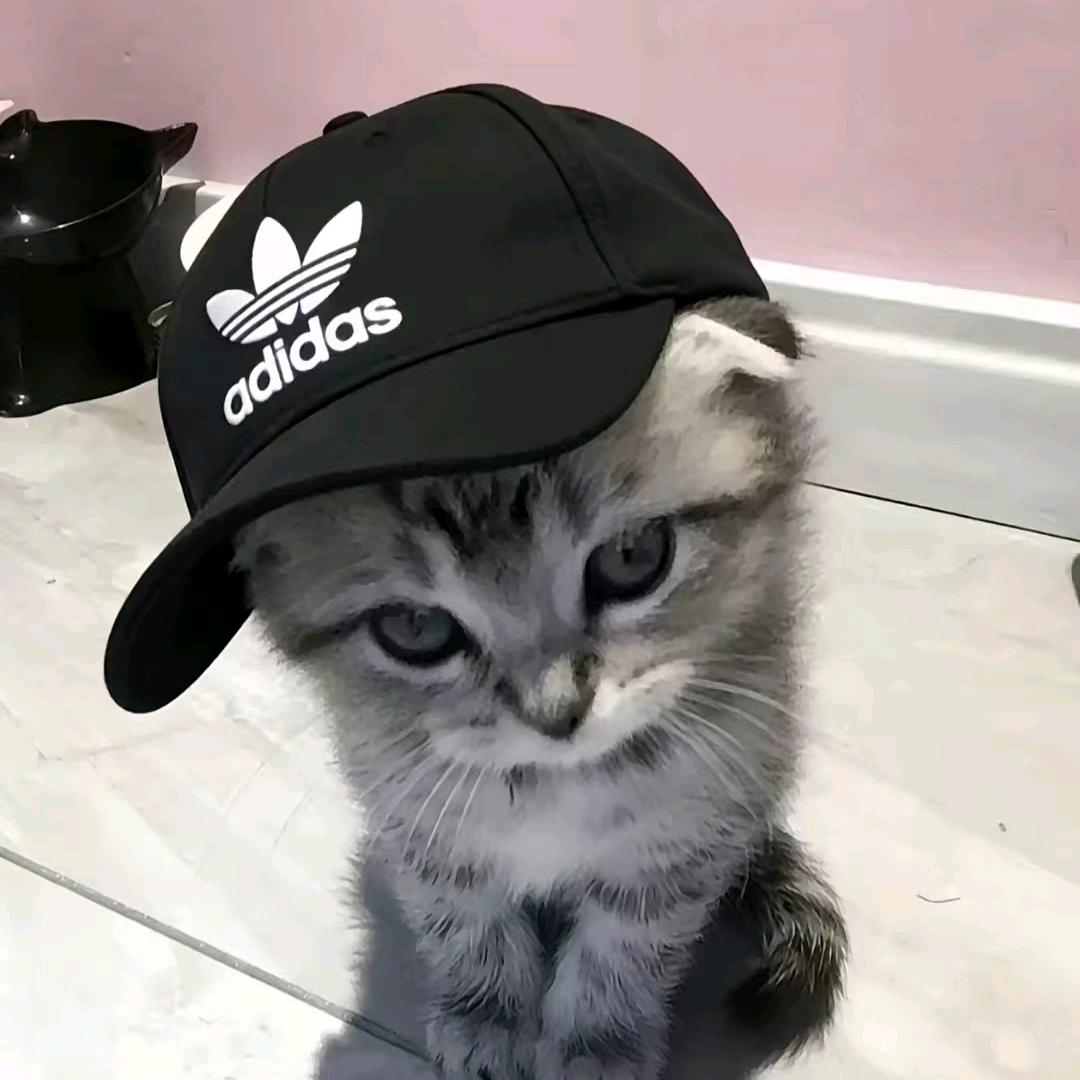 宇头像