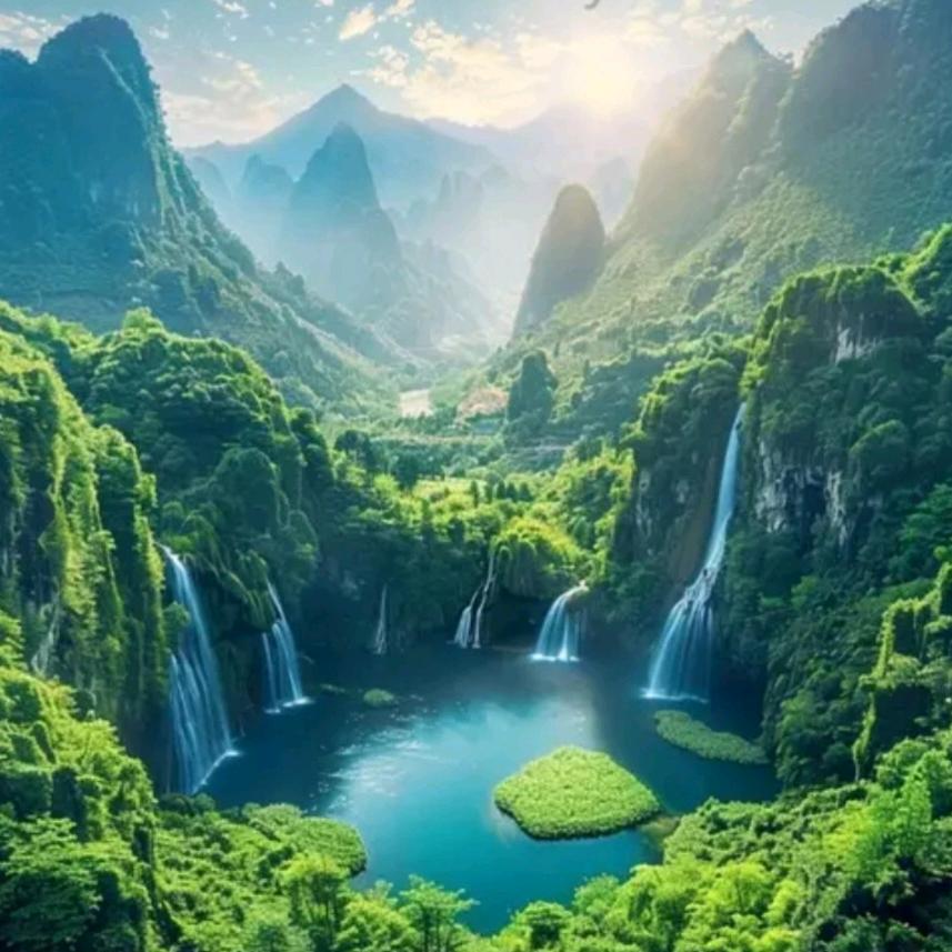 枫