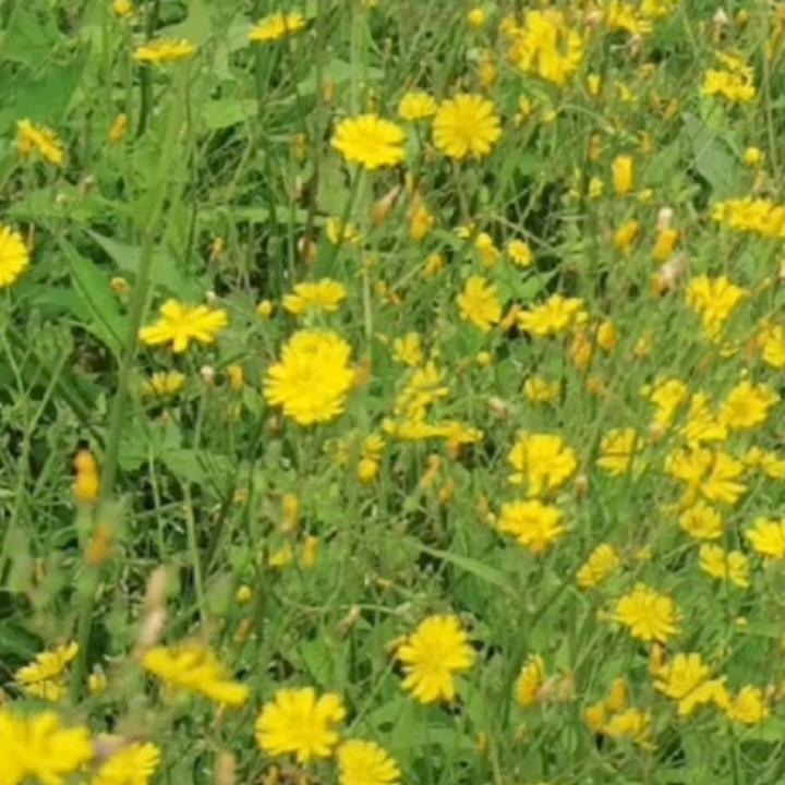 一别两宽，各自安好吧