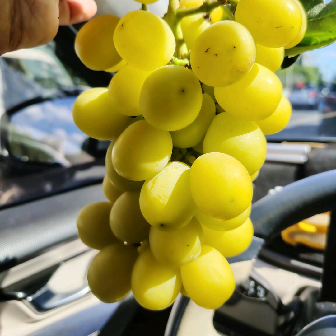 杭城城北移动营业厅