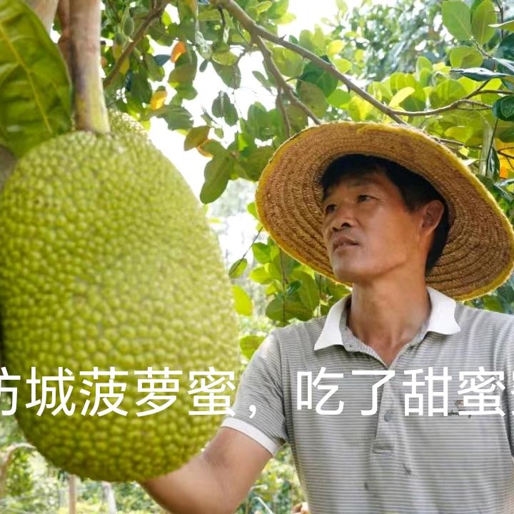 紅耀种植专业合作社