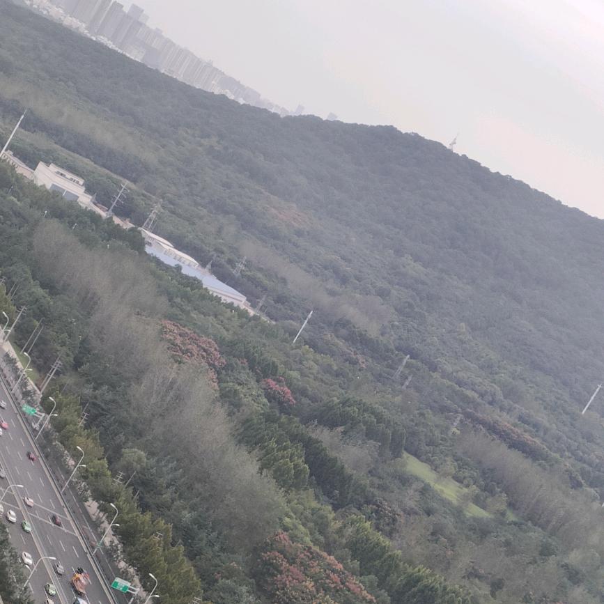 吴忧无虑