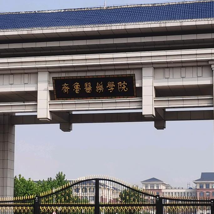 齐鲁医药学院（25级迎新）