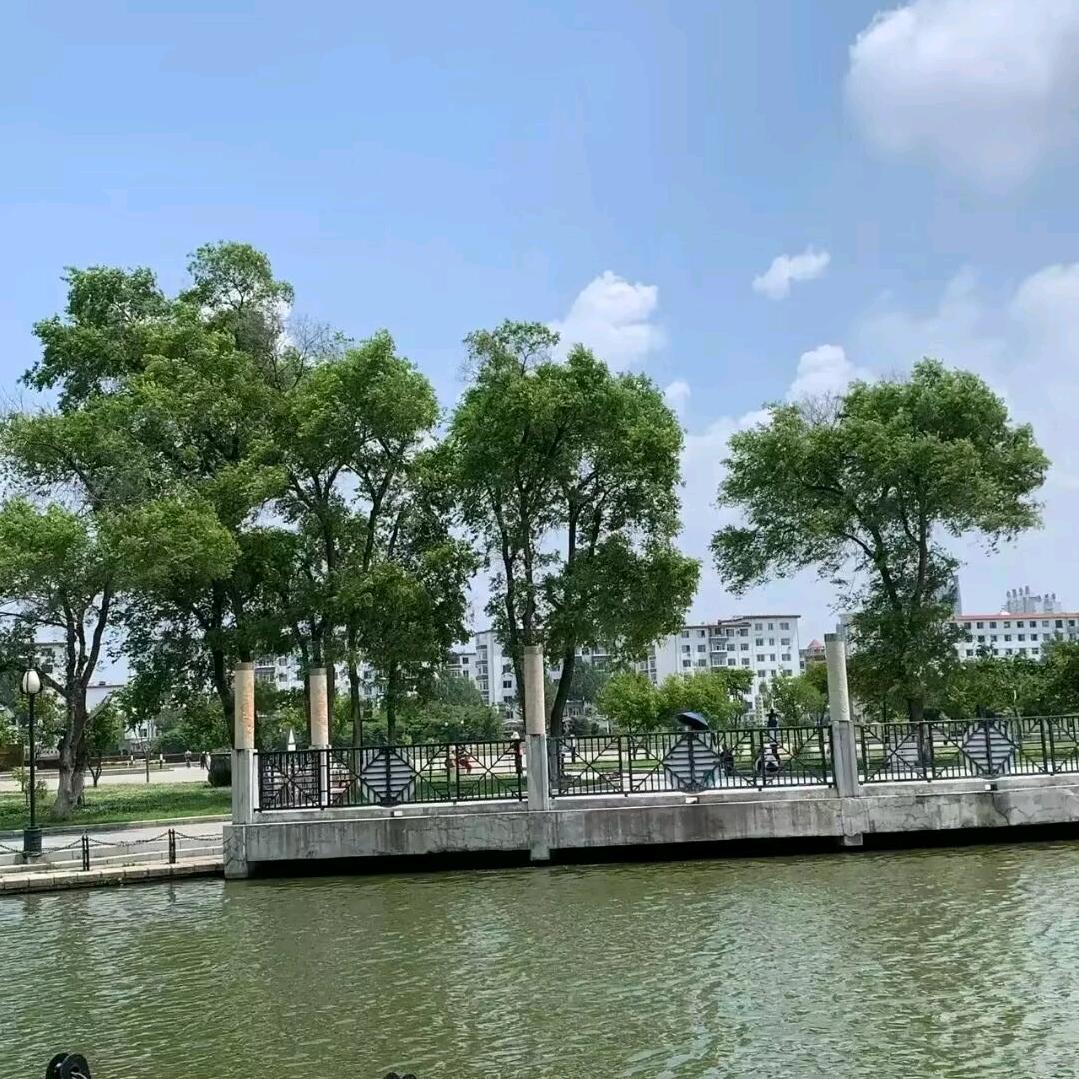 随缘g