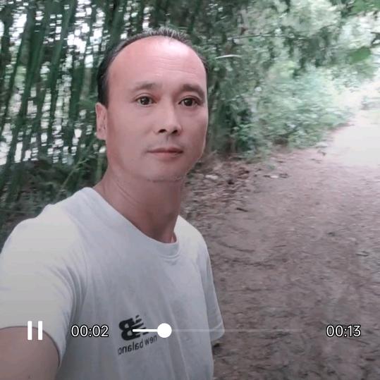 坚强糊涂歌（河南）