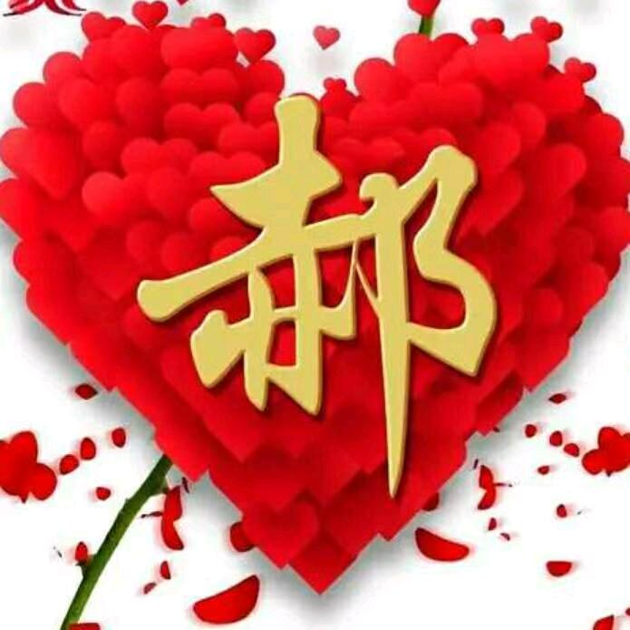 ✨郝运来✨