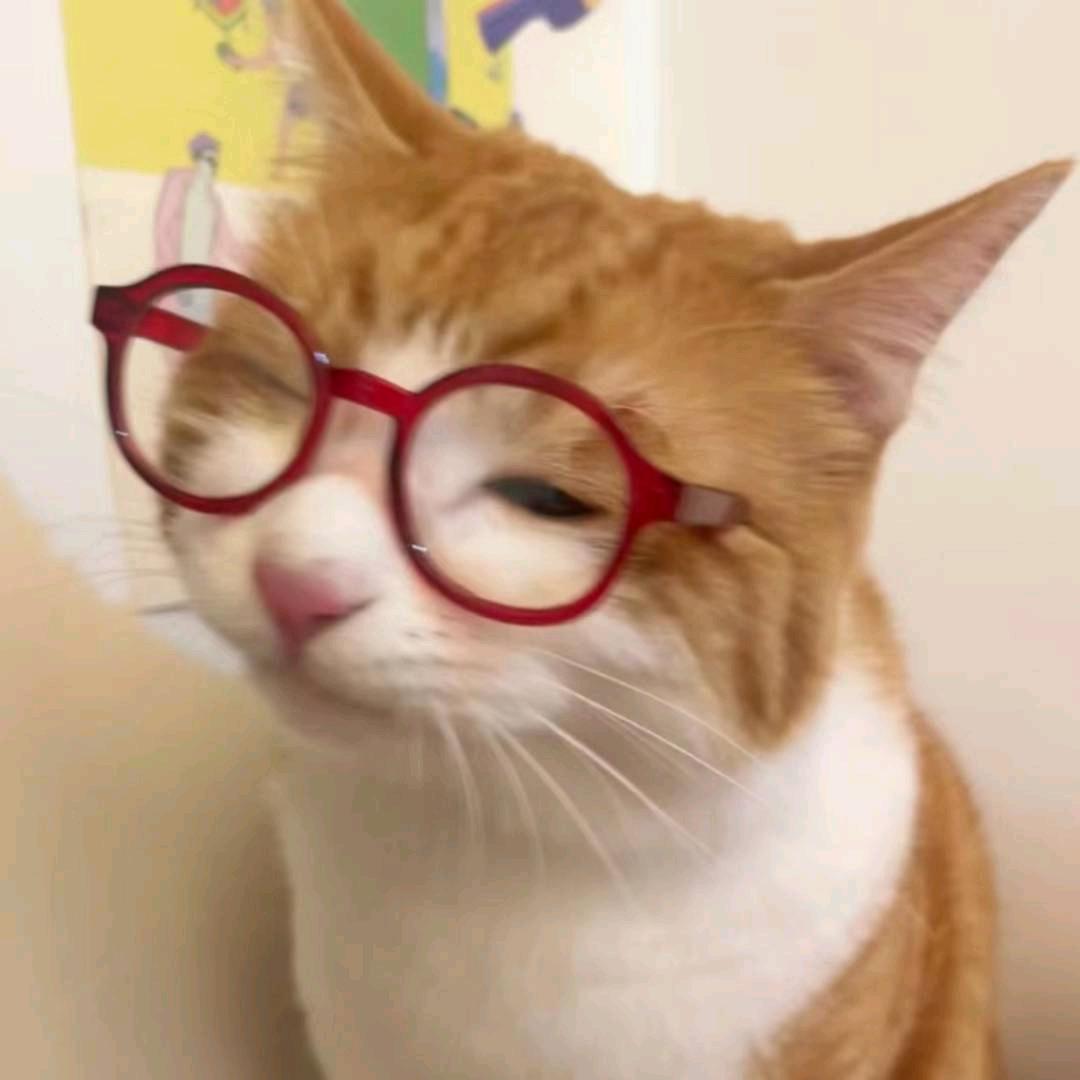 福常在（👀主页）