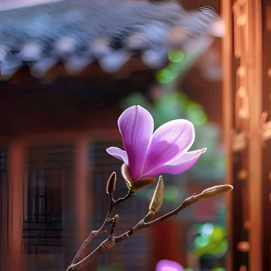 悠然abede头像