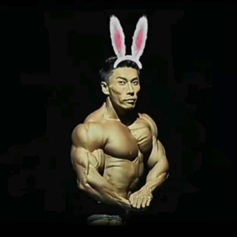 全土禾呈