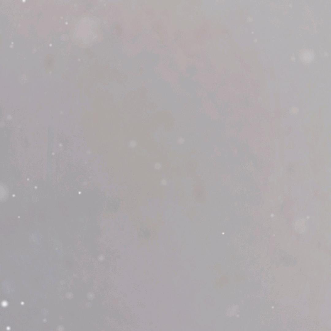 41530671453