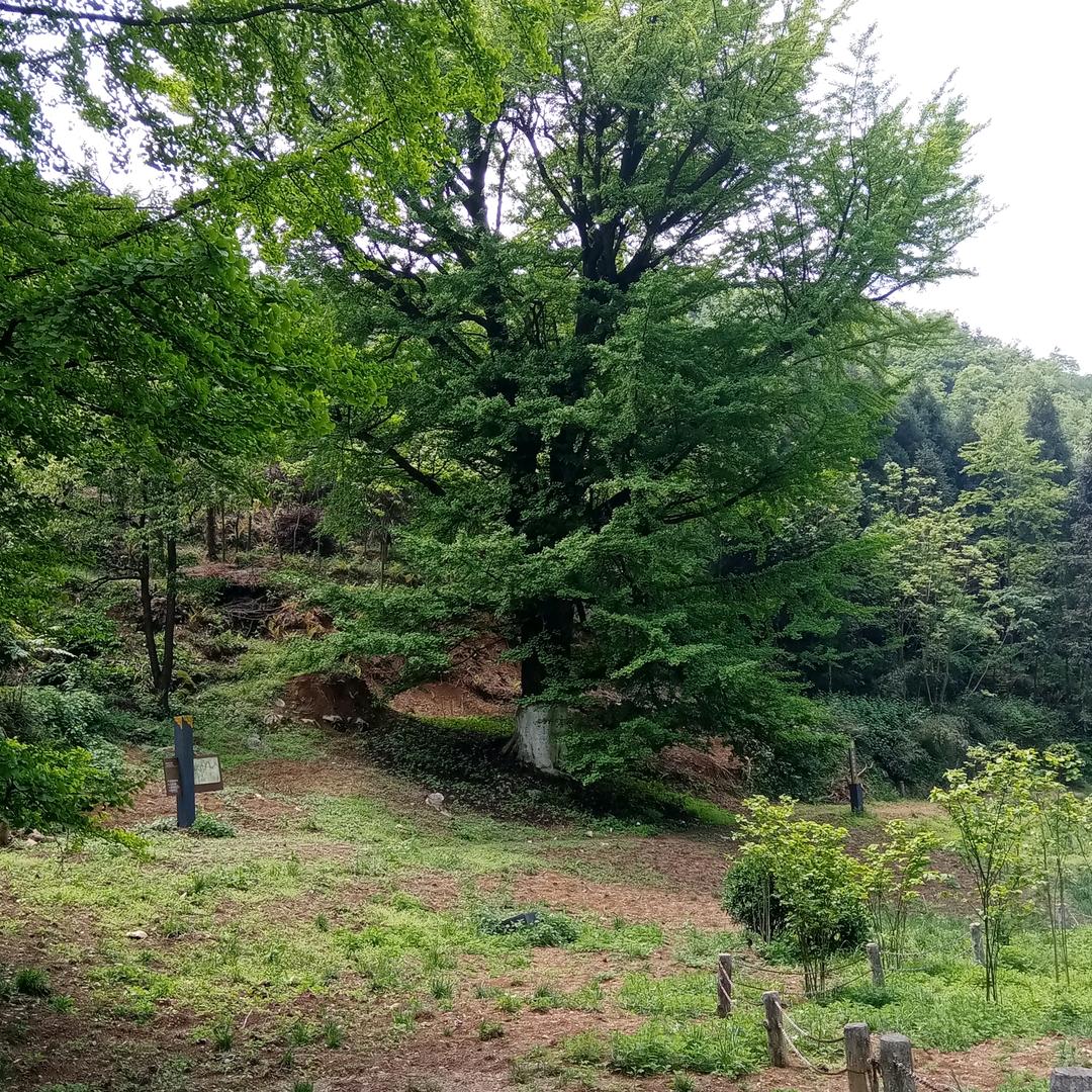 平淡一生