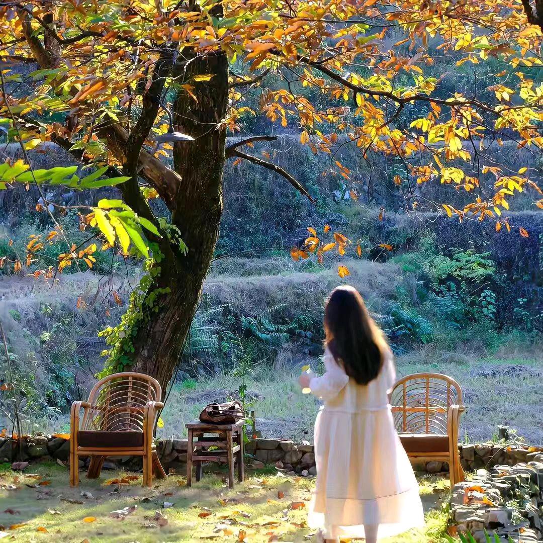 零碎的小土豆.💤