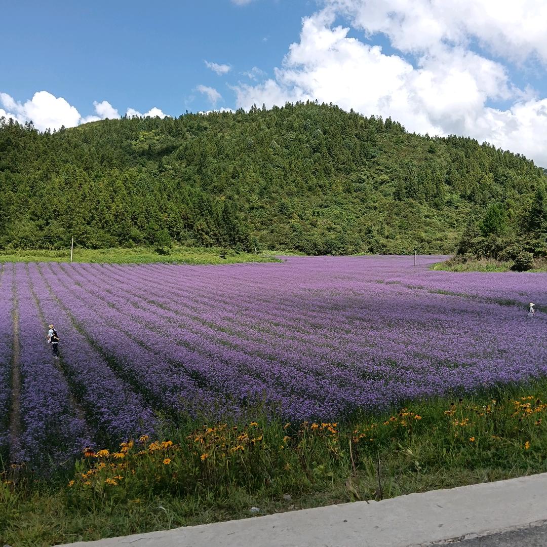 电动工具，农用机械