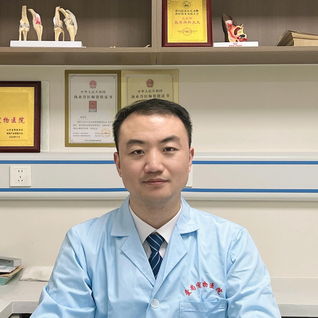 肥城宠物医生范洪伟