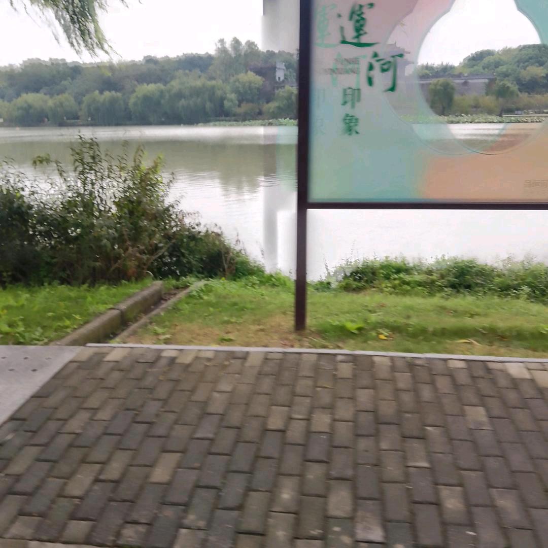 aa执着