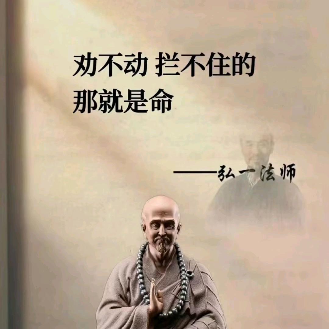 是小张吖☜