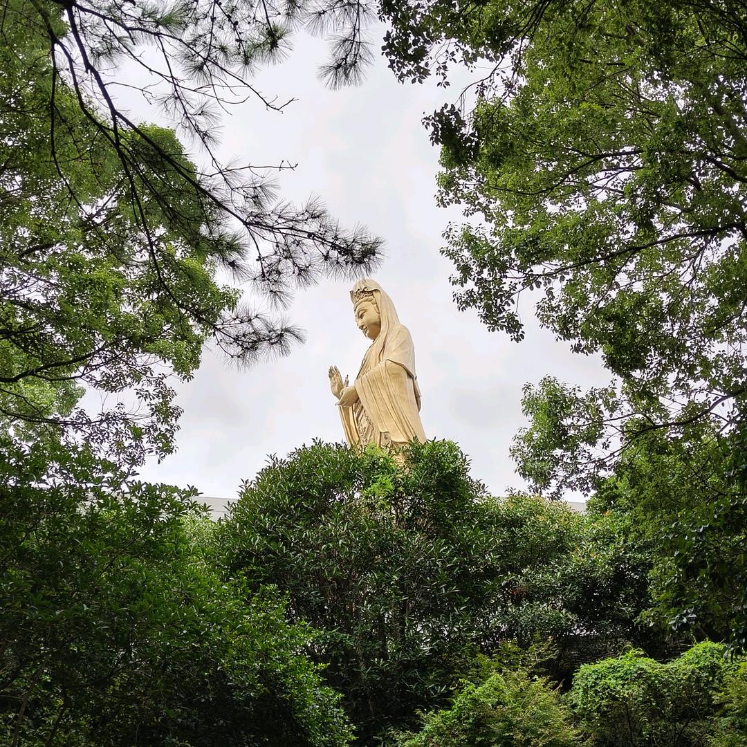 肖哥努力前行