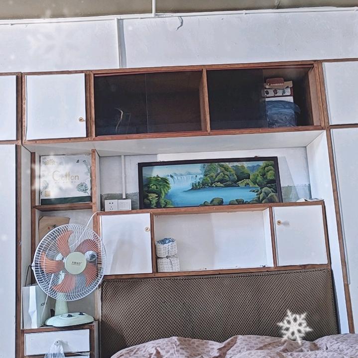 🦅孤独的狼🐑