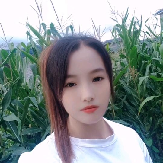 好运连连