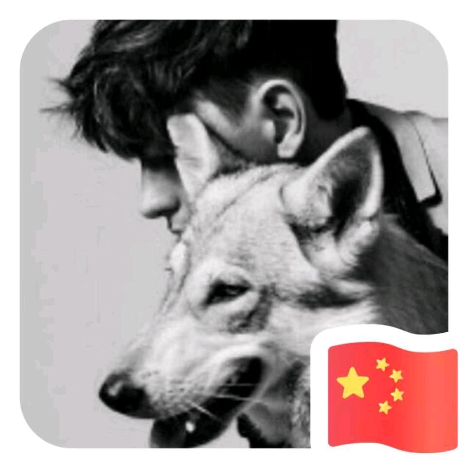 仅此而已🇨🇳