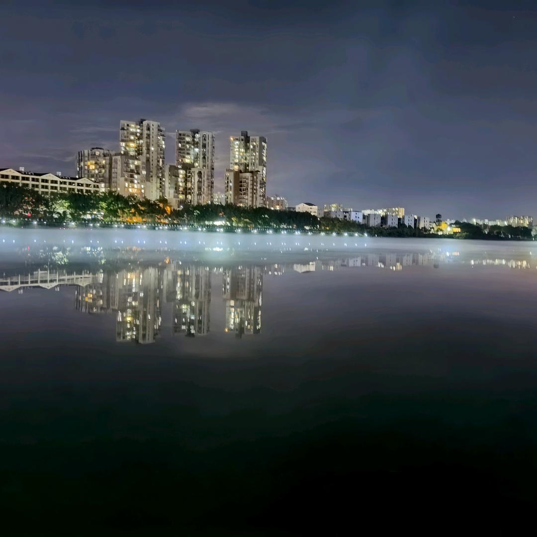 海鸥85