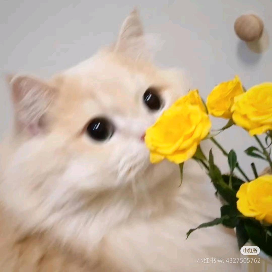 终言于夏