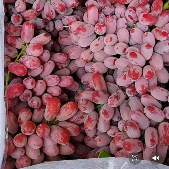 郴州市518果业，代卖各种水果