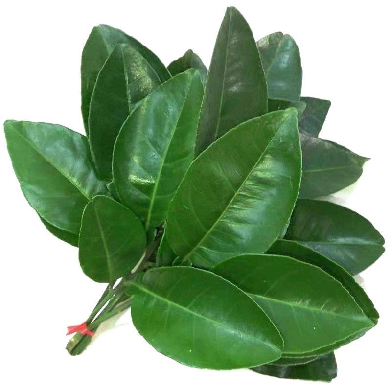 曦沫