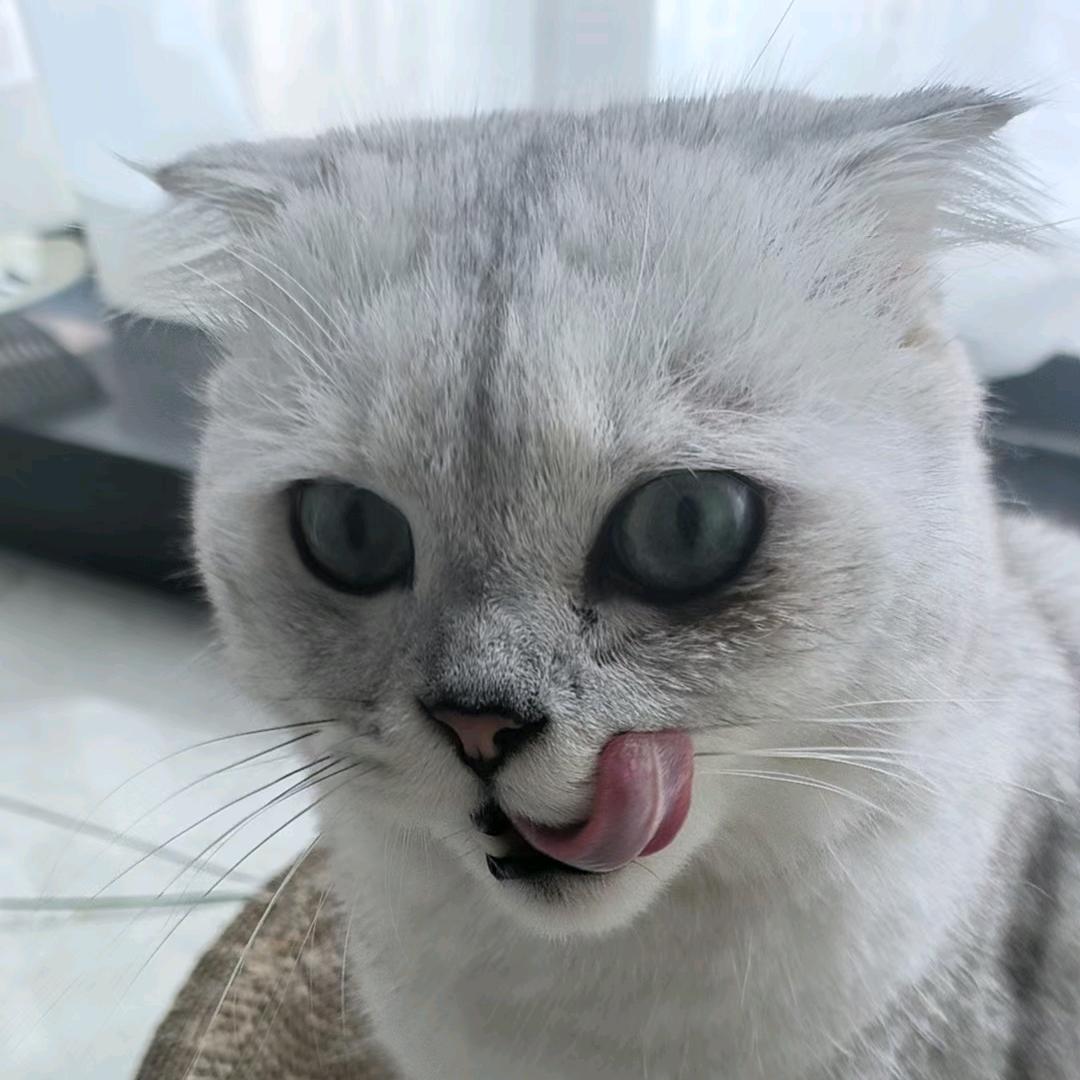 华得卓