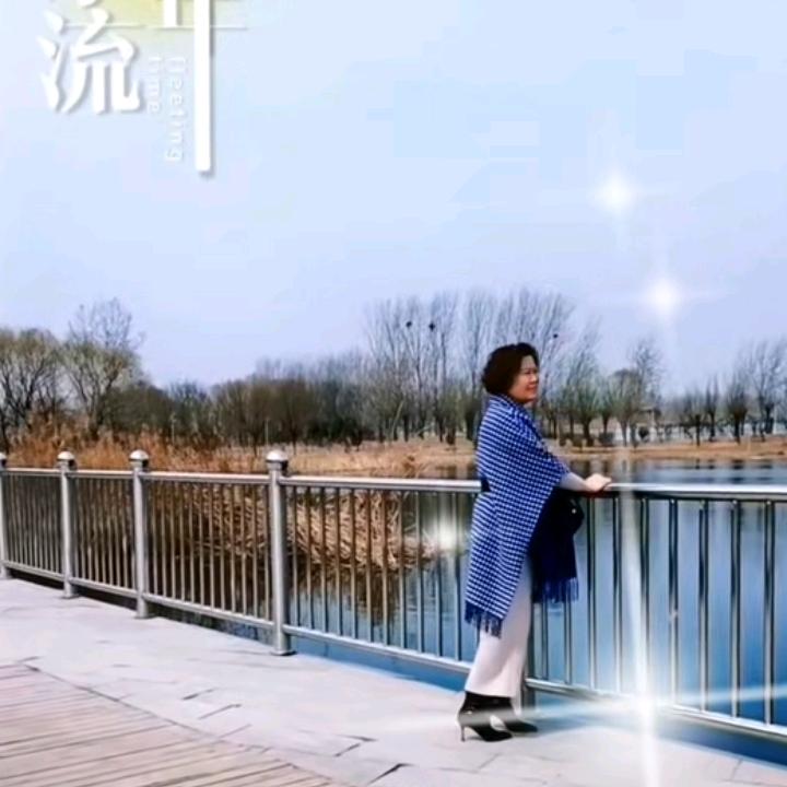 气质姐