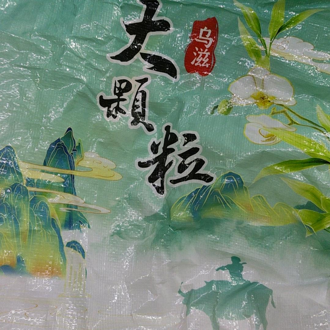 坚强的人