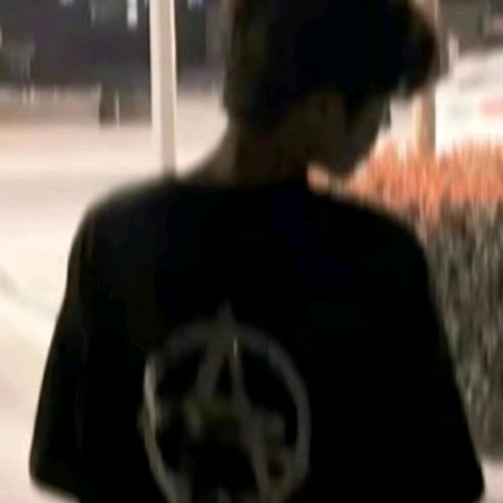 林向北