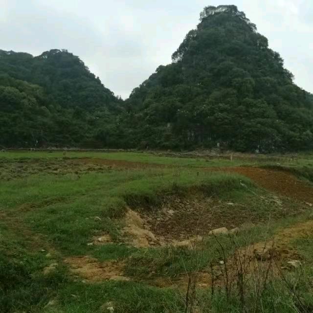 我是如果