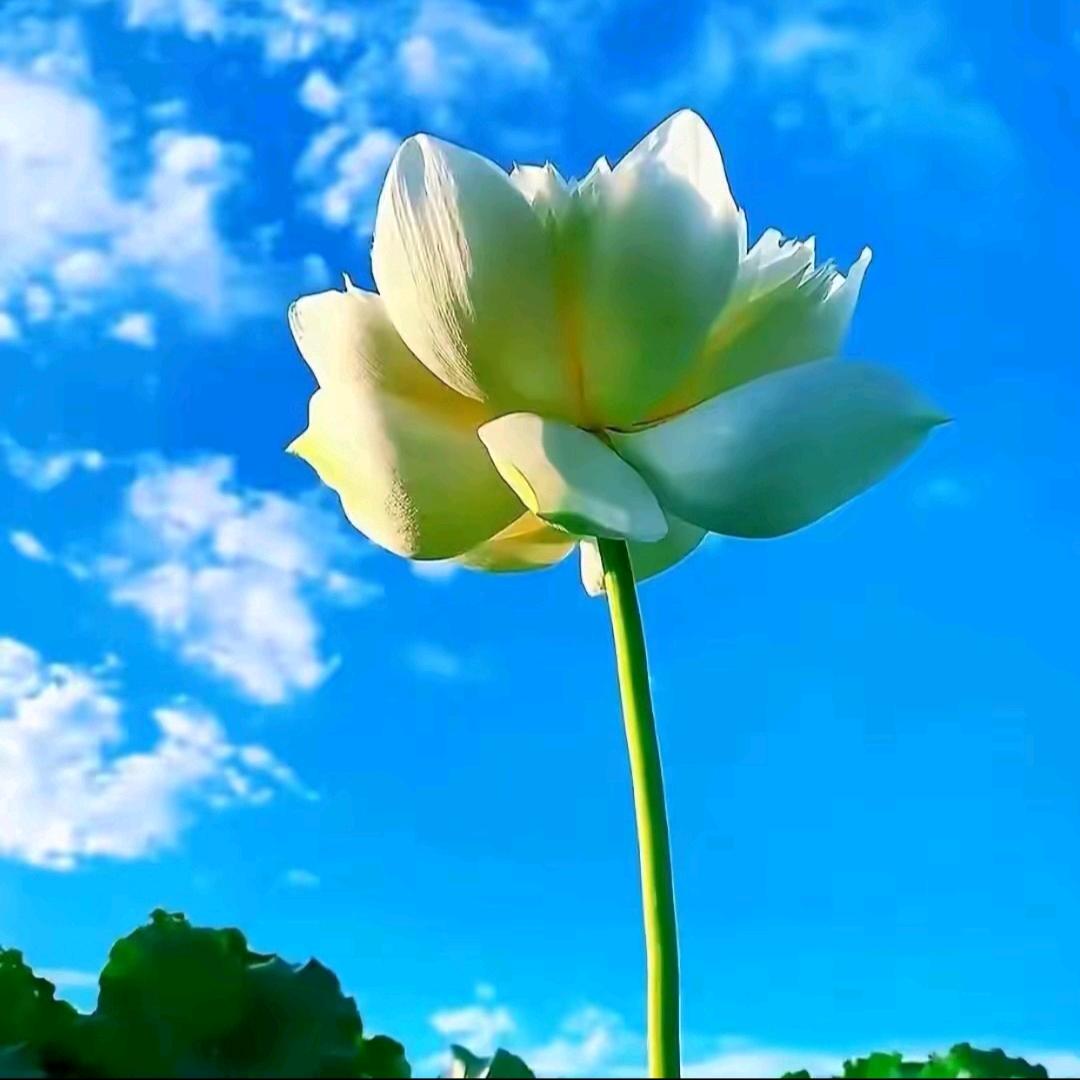 岳阳龙哥