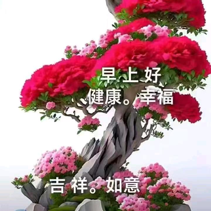 @ღ᭄余生不将就꧔ꦿ᭄