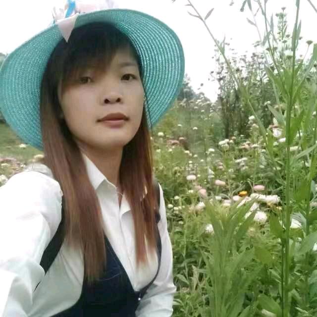 小杜